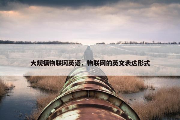 大规模物联网英语，物联网的英文表达形式