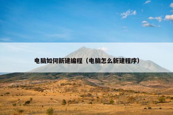 电脑如何新建编程（电脑怎么新建程序）