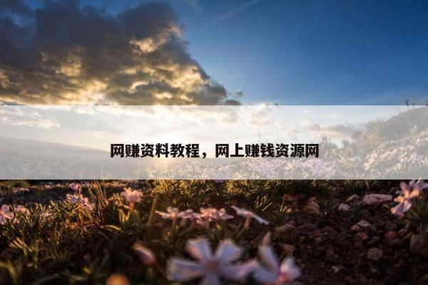 网赚资料教程，网上赚钱资源网