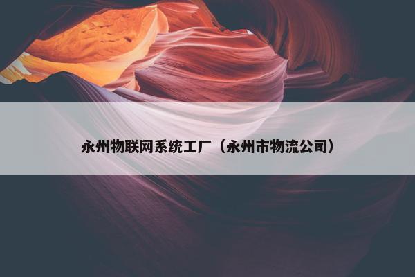 永州物联网系统工厂（永州市物流公司）