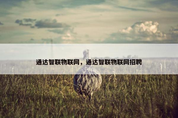 通达智联物联网，通达智联物联网招聘