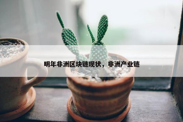 明年非洲区块链现状，非洲产业链