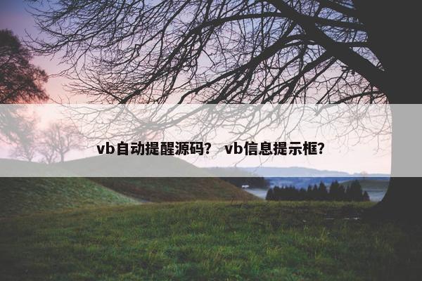 vb自动提醒源码？ vb信息提示框？