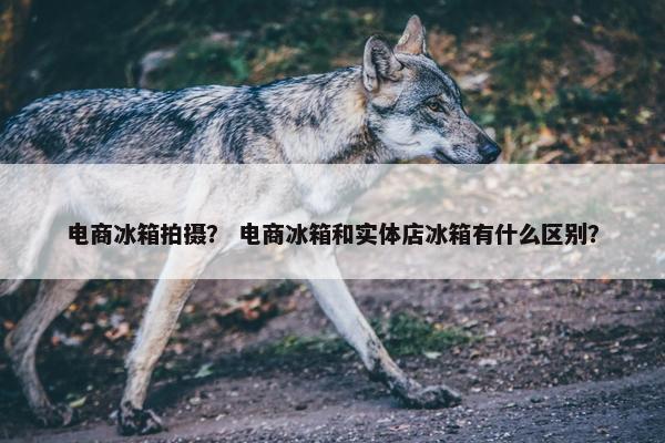 电商冰箱拍摄？ 电商冰箱和实体店冰箱有什么区别？