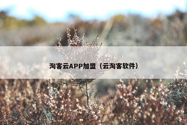淘客云APP加盟（云淘客软件）