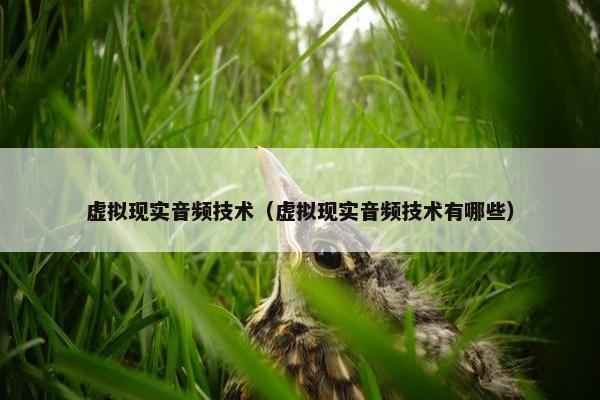 虚拟现实音频技术（虚拟现实音频技术有哪些）