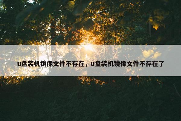 u盘装机镜像文件不存在，u盘装机镜像文件不存在了