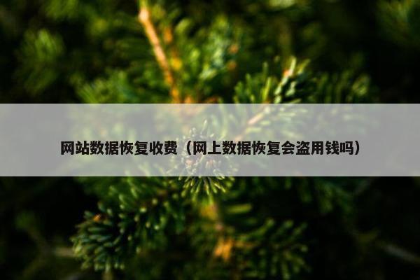 网站数据恢复收费（网上数据恢复会盗用钱吗）