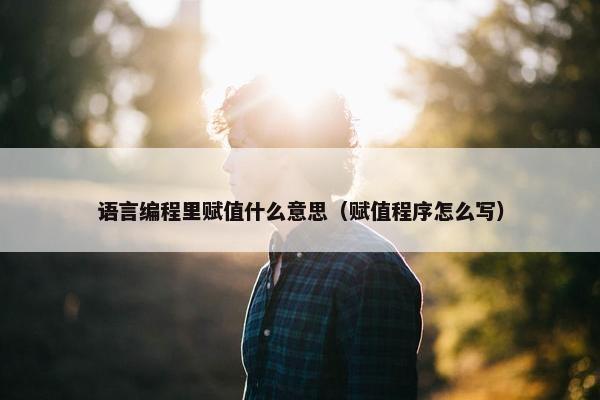 语言编程里赋值什么意思（赋值程序怎么写）