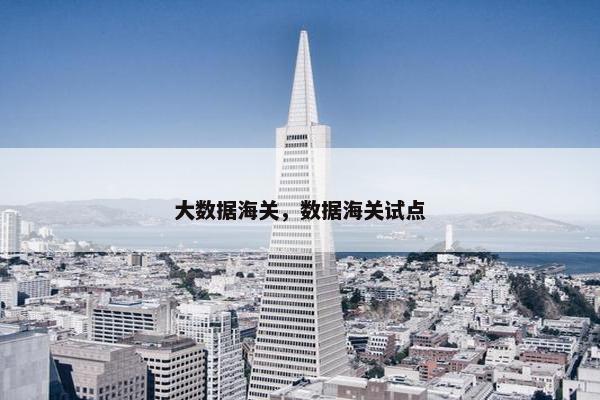 大数据海关，数据海关试点