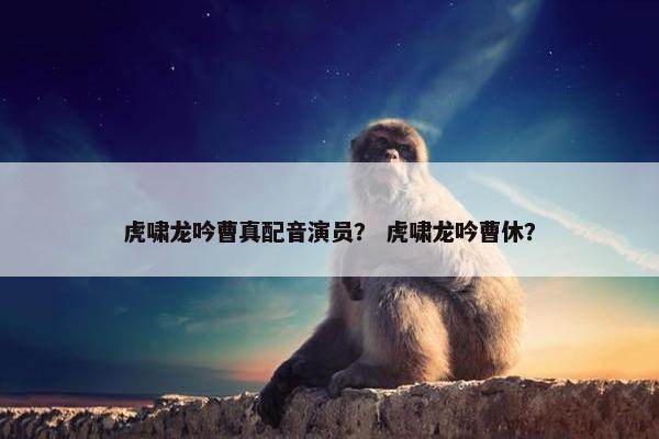 虎啸龙吟曹真配音演员？ 虎啸龙吟曹休？
