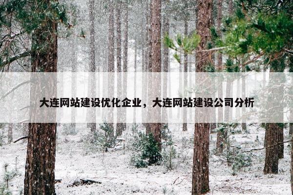 大连网站建设优化企业，大连网站建设公司分析