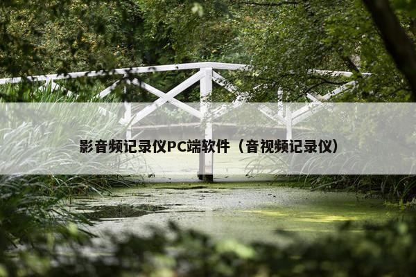 影音频记录仪PC端软件（音视频记录仪）