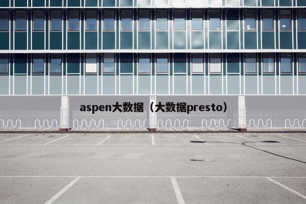aspen大数据（大数据presto）