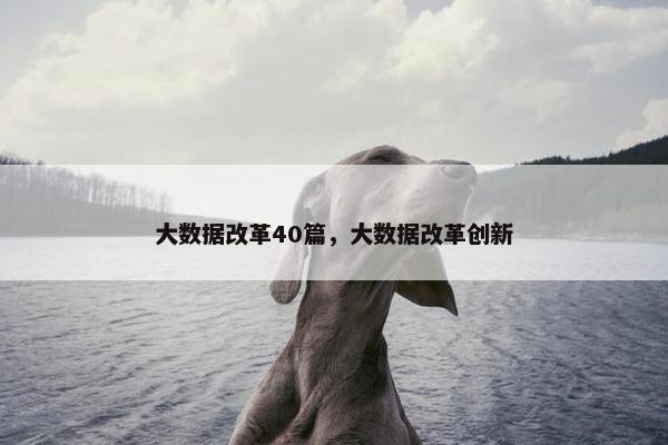 大数据改革40篇，大数据改革创新