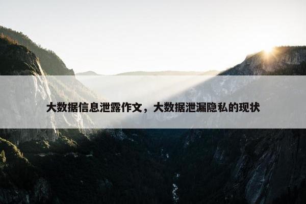 大数据信息泄露作文，大数据泄漏隐私的现状