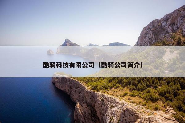 酷骑科技有限公司（酷骑公司简介）