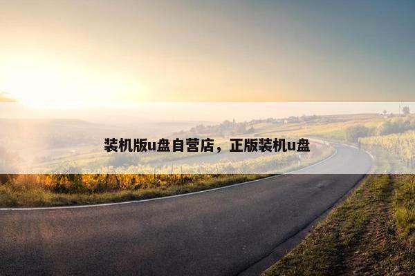 装机版u盘自营店，正版装机u盘