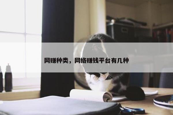 网赚种类，网络赚钱平台有几种