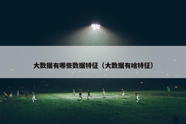 大数据有哪些数据特征（大数据有啥特征）