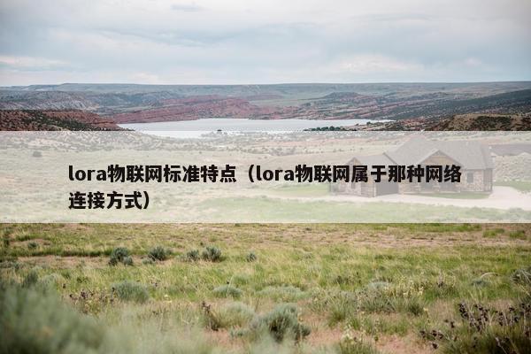 lora物联网标准特点（lora物联网属于那种网络连接方式）
