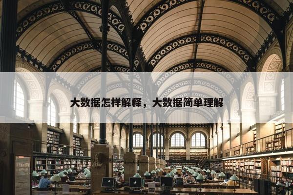 大数据怎样解释，大数据简单理解