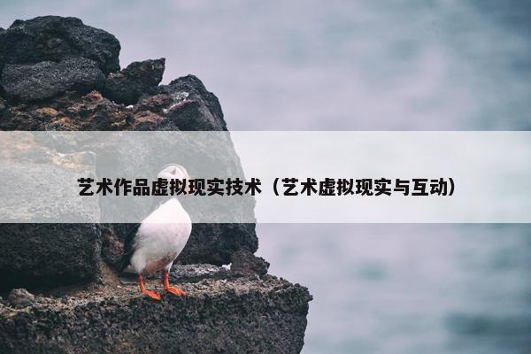 艺术作品虚拟现实技术（艺术虚拟现实与互动）