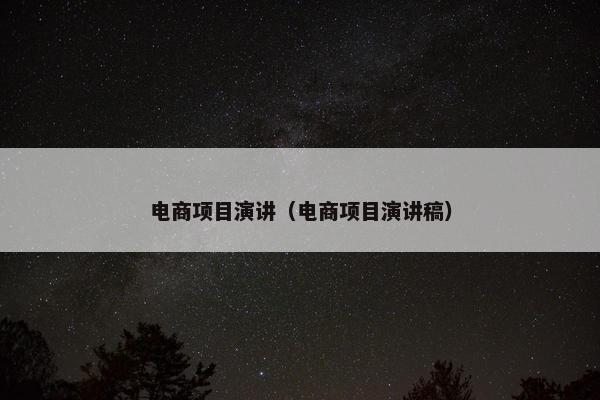 电商项目演讲（电商项目演讲稿）