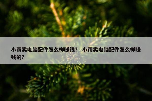 小雨卖电脑配件怎么样赚钱？ 小雨卖电脑配件怎么样赚钱的？