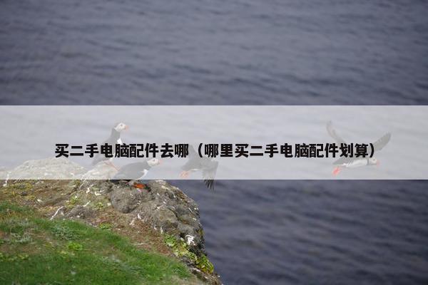 买二手电脑配件去哪（哪里买二手电脑配件划算）