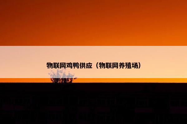 物联网鸡鸭供应（物联网养殖场）