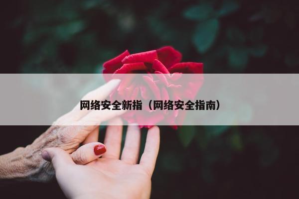 网络安全新指（网络安全指南）