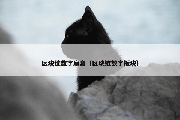 区块链数字魔盒（区块链数字板块）