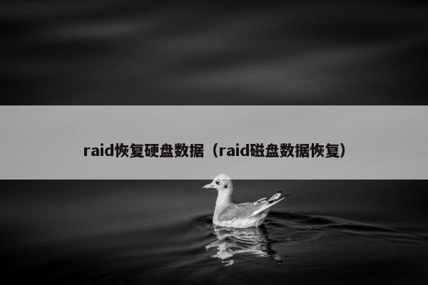raid恢复硬盘数据（raid磁盘数据恢复）