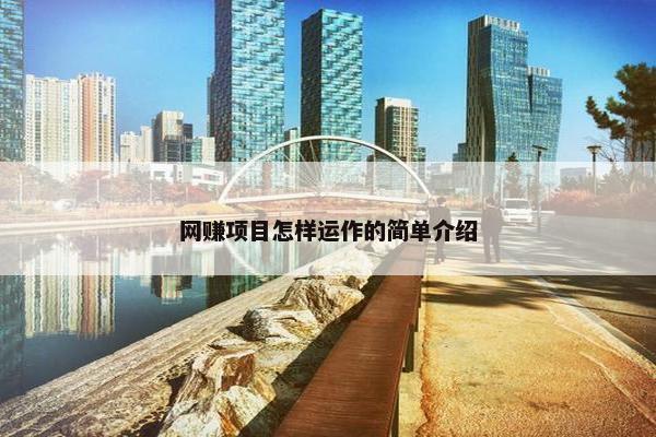 网赚项目怎样运作的简单介绍