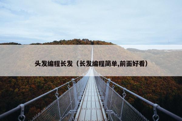 头发编程长发（长发编程简单,前面好看）