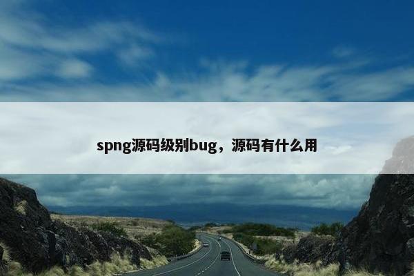 spng源码级别bug，源码有什么用