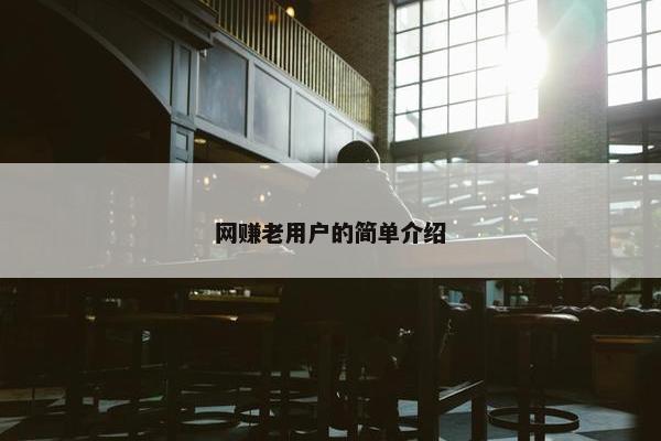 网赚老用户的简单介绍