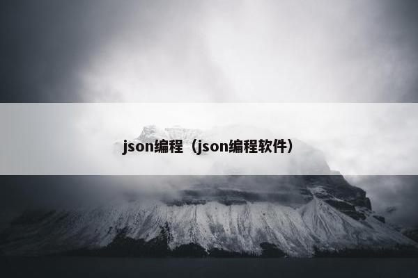json编程（json编程软件）