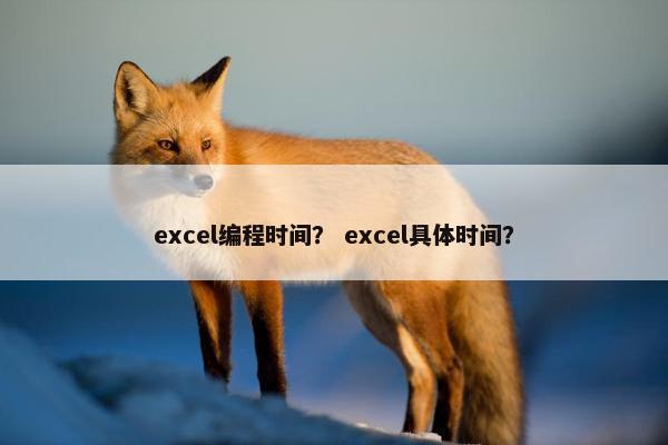 excel编程时间？ excel具体时间？