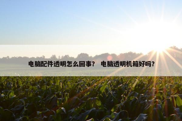 电脑配件透明怎么回事？ 电脑透明机箱好吗？