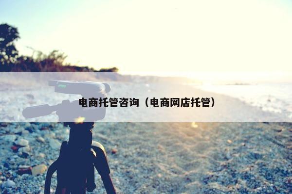 电商托管咨询（电商网店托管）