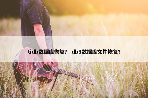 tidb数据库恢复？ db3数据库文件恢复？