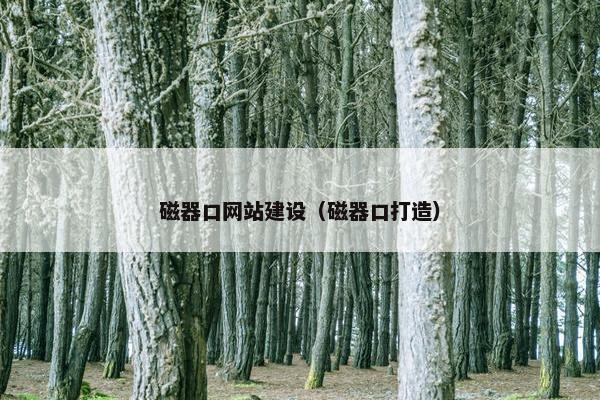磁器口网站建设（磁器口打造）