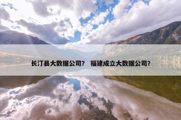 长汀县大数据公司？ 福建成立大数据公司？