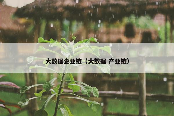 大数据企业链（大数据 产业链）