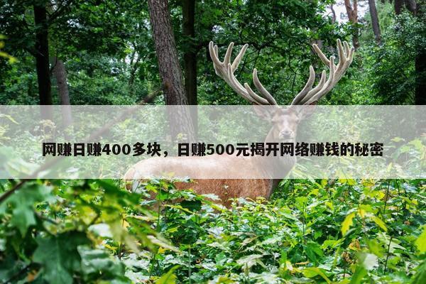 网赚日赚400多块，日赚500元揭开网络赚钱的秘密