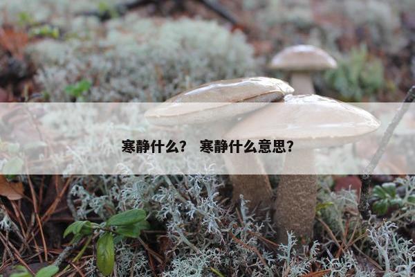 寒静什么？ 寒静什么意思？