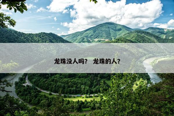 龙珠没人吗？ 龙珠的人？