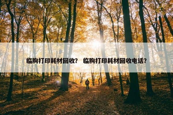 临朐打印耗材回收？ 临朐打印耗材回收电话？